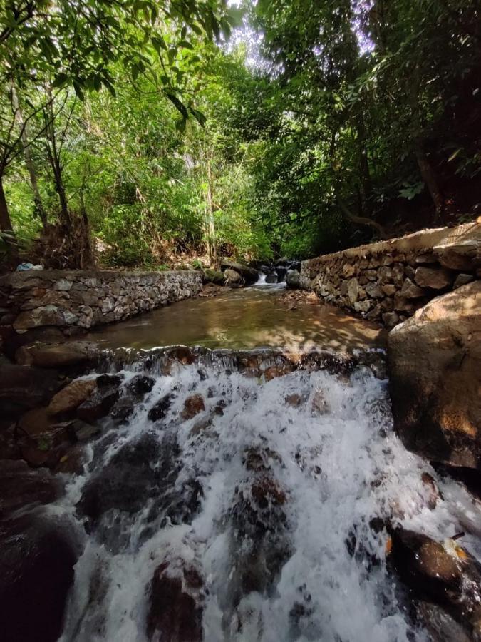 Forest And River Edge Resort كانور المظهر الخارجي الصورة