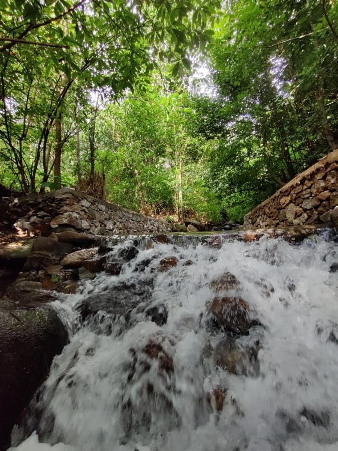 Forest And River Edge Resort كانور المظهر الخارجي الصورة