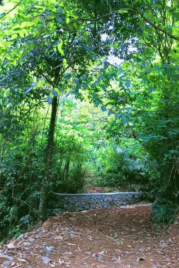 Forest And River Edge Resort كانور المظهر الخارجي الصورة